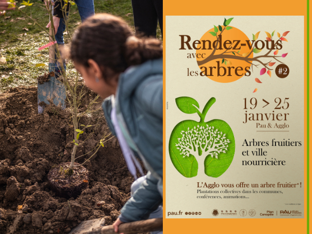 Rdv de l'arbre 2026 à Pau